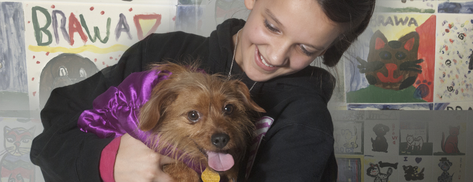 Click here for Pet Adoption Information